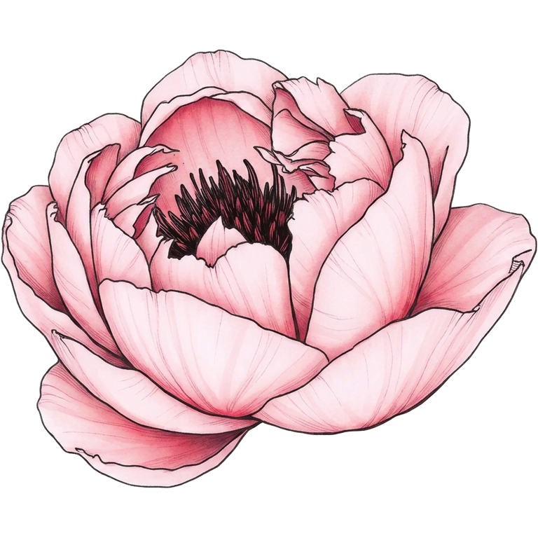 peony