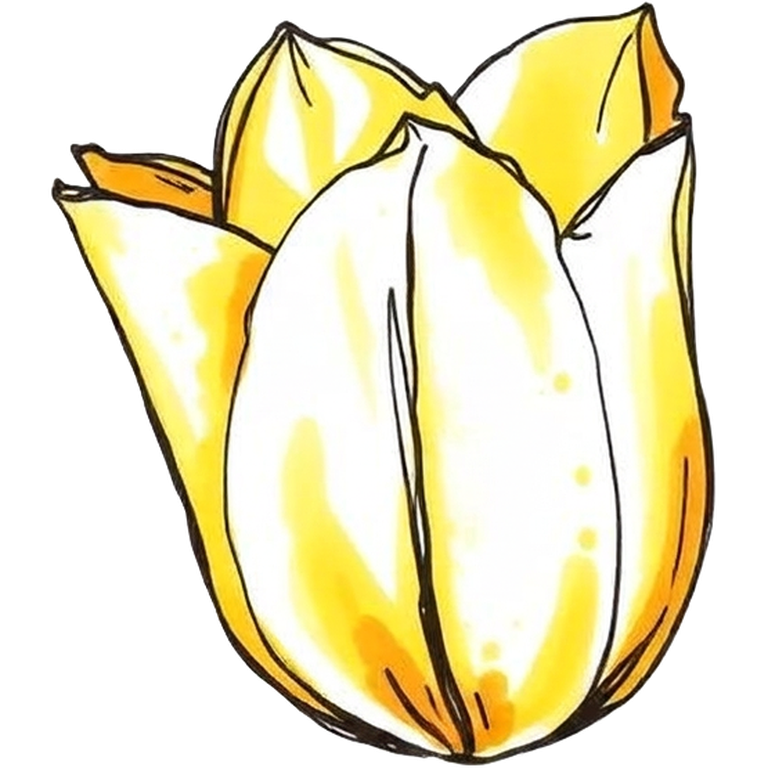 tulip